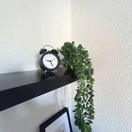 Nid Douillet Apartmán Lille