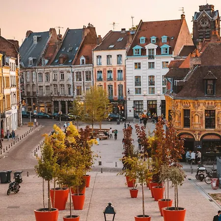 Nid Douillet Lille