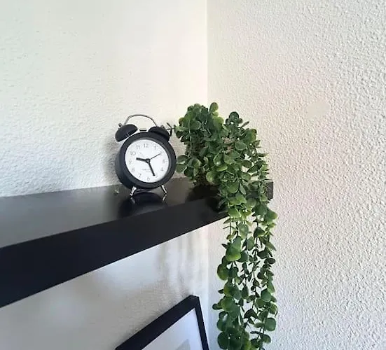 Nid Douillet Appartement Lille